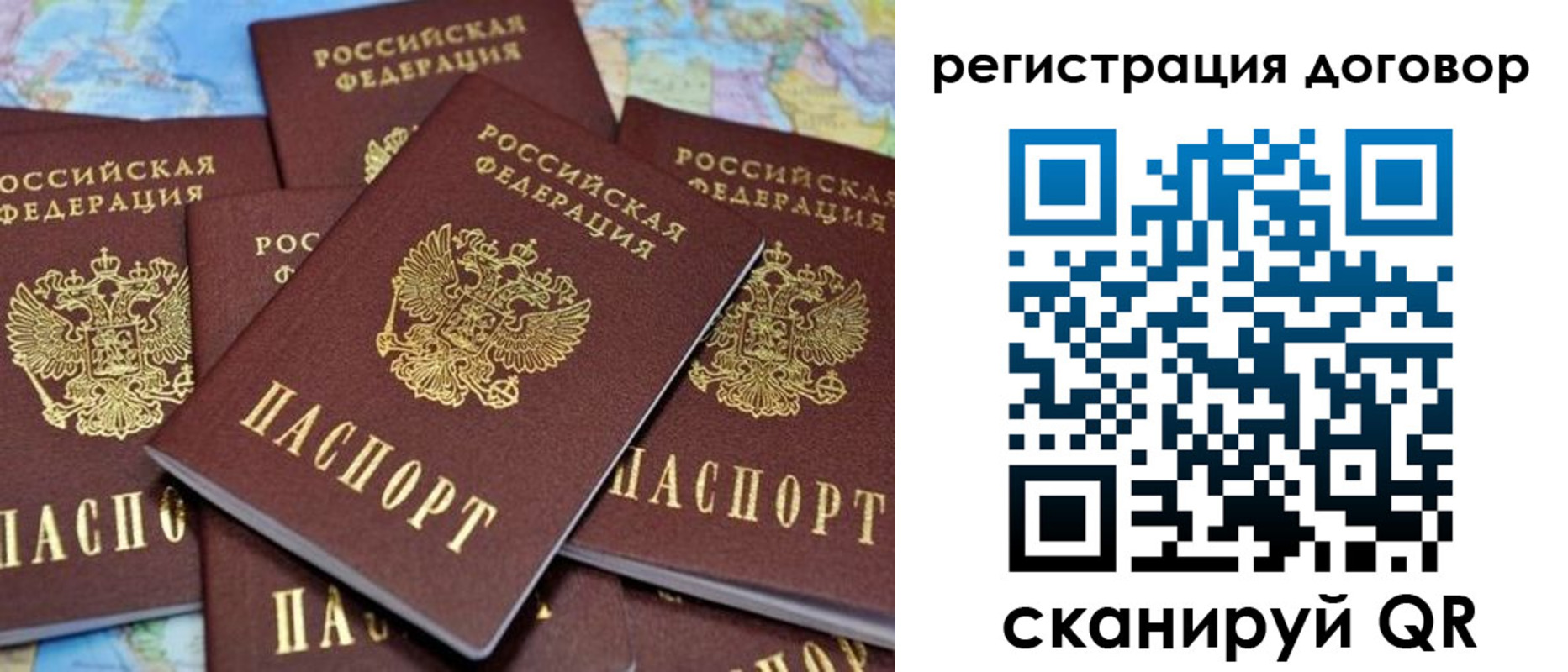 прописка гарантия в Кировске